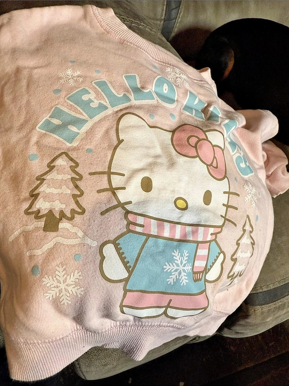 Hello Kitty by Sanrio sweatshirt Girls Pink & Blue Size 2T